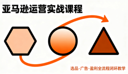 毕方电商·亚马逊全站会员课程(更新3月)-续财库