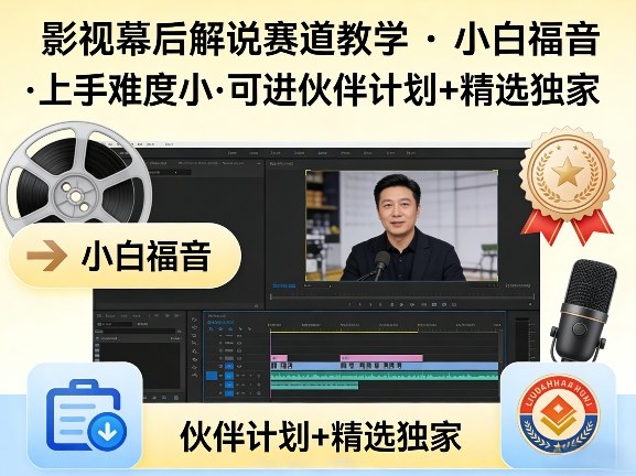 某大佬的影视幕后解说赛道教学，小白福音，上手难度小，可进伙伴计划+精选独家-续财库