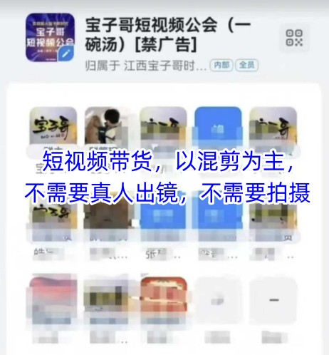 宝子哥头部团队短视频带货,以混剪为主,不需要真人出镜,不需要拍摄【更新26年3月】-续财库