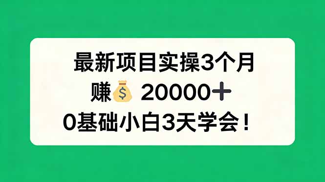 最新项目实操3个月，赚钱20000+，0基础小白3天学会！-续财库