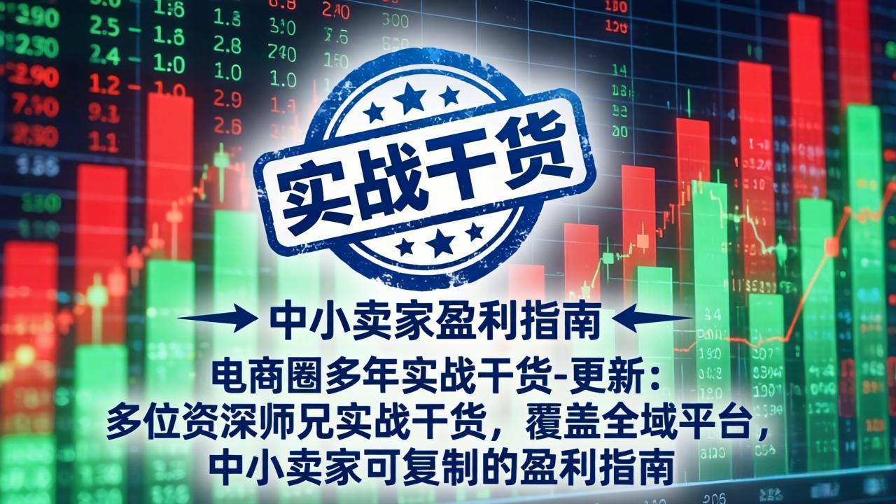 电商圈多年实战干货-更新5月10：多位资深师兄实战干货/覆盖全域平台，中小卖家可复制的盈利指南-续财库