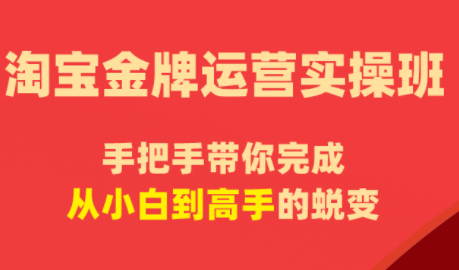 飓风电商·淘宝金牌运营实操班-续财库