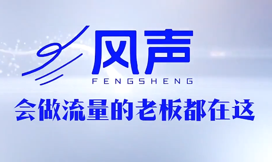 董十一·风声短视频AI获客年度会员-续财库