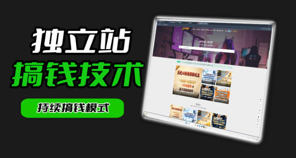 干货来袭！麦子甜带你吃透独立站｜从搭建到引流一站式教学《独立站》第一期-续财库