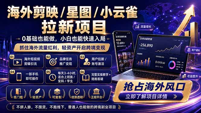 海外剪映 / 星图 / 小云雀拉新项目 普通人也能上手的跨境流量变现副业-续财库