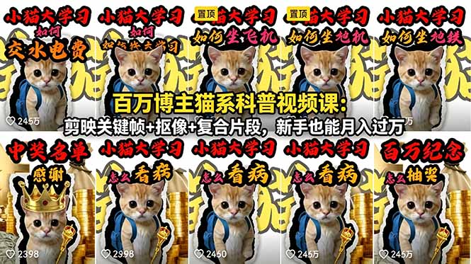 百万博主猫系科普视频课：剪映关键帧+抠像+复合片段，新手也能月入过万-续财库