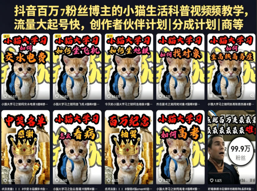 抖音百万粉丝博主的小猫生活科普视频教学，流量大起号快，创作者伙伴计划|分成计划|商单|收徒等-续财库