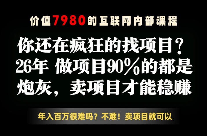 26年请不要疯狂的找项目了,卖项目远比你想象的暴利,你也可以月入10W+【揭秘】-续财库