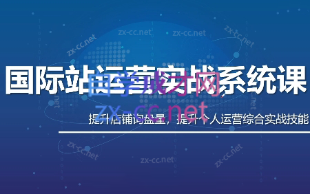 白老师·国际站运营实战系统(高质量询盘增长课)(更新)-续财库