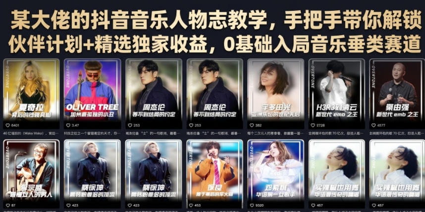 某大佬的抖音音乐人物志教学,手把手带你解锁伙伴计划+精选独家收益,0基础入局音乐垂类赛道-续财库
