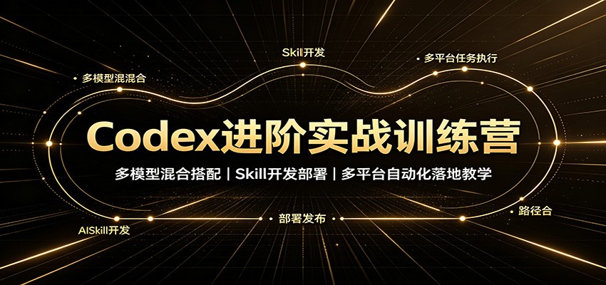 Codex进阶实战训练营：多模型混合搭配，Skill开发部署，多平台自动化落地教学-续财库