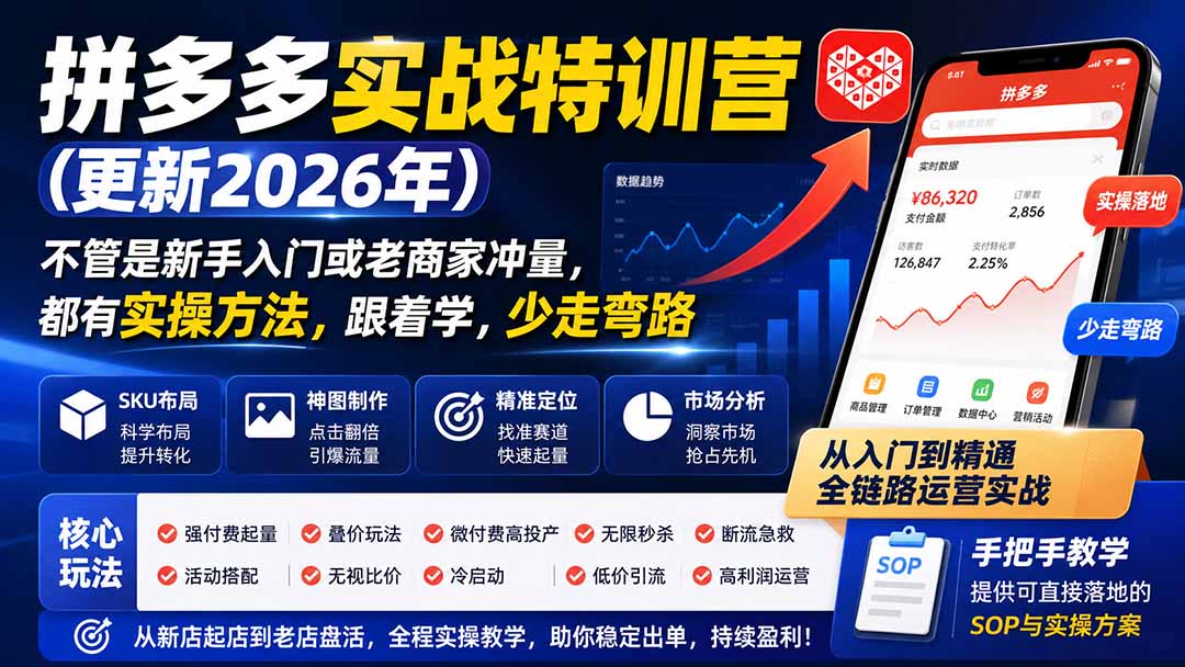 拼多多实战特训营(更新26年0822-续财库