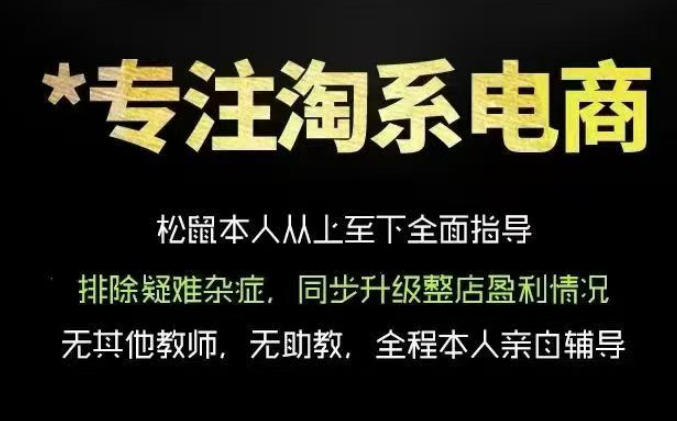 松鼠会电商VIP课程，从基础布局到高阶优化，助你掌握淘宝运营逻辑，提升店铺流量与转化(更新0901)-续财库