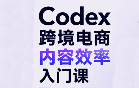 Codex跨境电商内容效率入门课-续财库