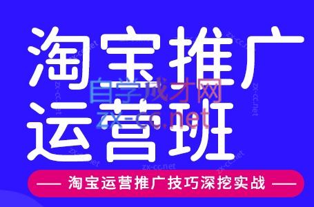 美迪电商·淘宝高级运营班+推广运营班(更新9月)-续财库