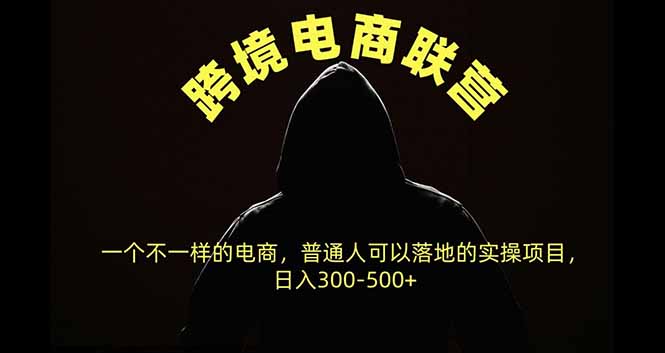 跨境电商联营，一个不一样的电商，普通人可操作日入300-500+-续财库