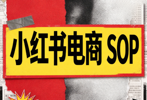 书豪必胜小红书电商sop(更新9月)-续财库