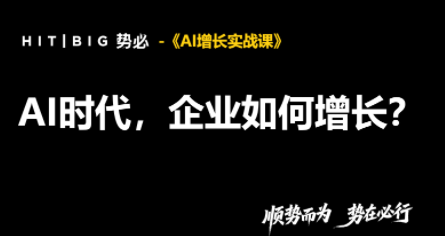 势必·AI增长实战课-续财库
