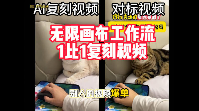 宠物带货视频复刻,无限画布工作流1比1,不用拍摄、不用布景、不用真人出镜,几分钟就能做出一条专业带货视频-续财库