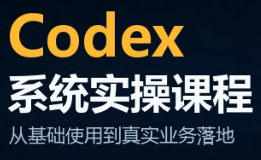 codex系统实操课程(更新10月)-续财库
