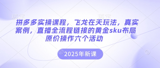 拼多多实操课程，飞龙在天玩法，真实案例，直播全流程链接的黄金sku布局原价操作六个活动-续财库