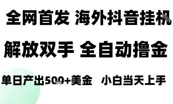 海外抖音无人直播，单日产出1.5k+，长期稳定，新手可玩，无脑操作【揭秘】-续财库