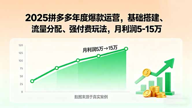 2025拼多多年度爆款运营,基础搭建、流量分配、强付费玩法,月利润5-15万-续财库