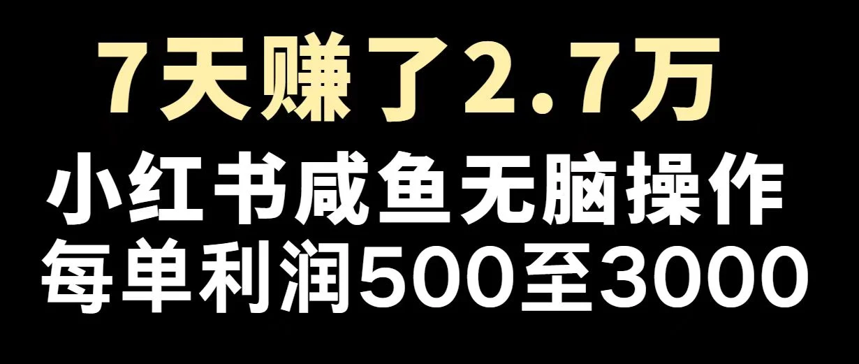 最赚钱项目之一,2025爆火,逆风翻盘!-续财库