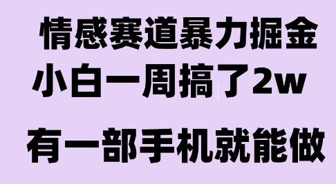 情感暴力掘金项目，新人操作一周挣了2W，长期稳定小白可做【揭秘】-续财库