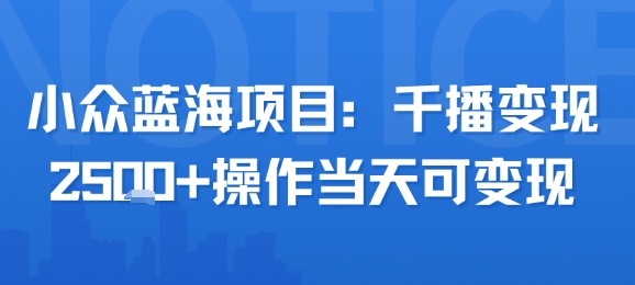 小众蓝海项目，千播变现2.5k+操作当天可变现-续财库