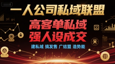 一人公司私域联盟，高客单私域，强人设成交，建私域 搞发售 广结盟 造势能-续财库