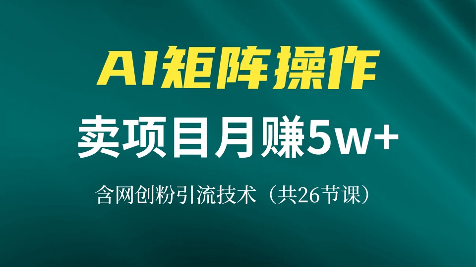 网创IP打造课，借助AI卖项目月赚5万+，含引流技术(共26节课-续财库
