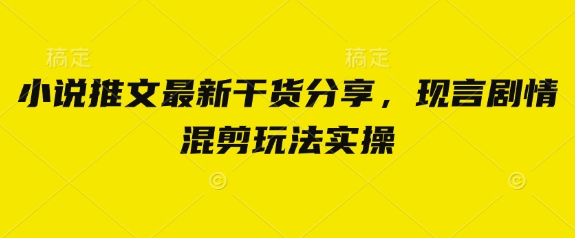 小说推文最新干货分享，现言剧情混剪玩法实操-续财库