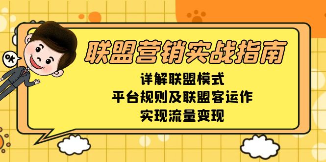 联盟营销实战指南，详解联盟模式、平台规则及联盟客运作，实现流量变现-续财库