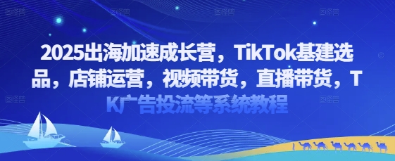 2025出海加速成长营，TikTok基建选品，店铺运营，视频带货，直播带货，TK广告投流等系统教程-续财库