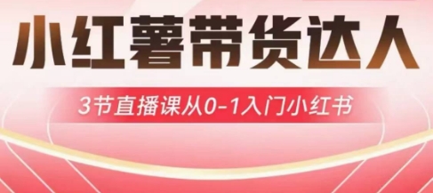 小红薯达人带货启航计划，3节直播课从0-1入门小红书-续财库