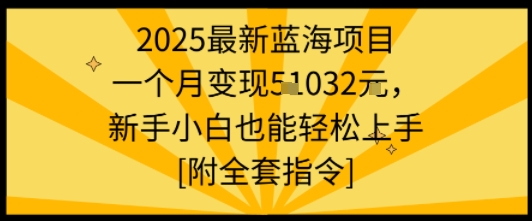 2025最新蓝海项目一个月变现1w+新手小白也能轻松上手【附全套指令】-续财库