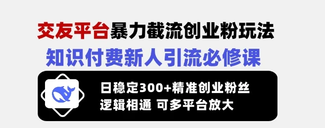交友平台暴力截流创业粉玩法，知识付费新人引流必修课，日稳定300+精准创业粉丝，逻辑相通可多平台放大-续财库