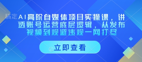 AI高阶自媒体项目实操课,讲透账号运营底层逻辑,从发布视频到规避违规一网打尽-续财库