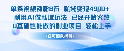 单条视频私域变现4.9k+利用AI做私域玩法 已经开始火热0基础也能做的副业项目轻松上手-续财库
