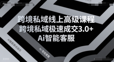 跨境私域线上高级课程,跨境私域极速成交3.0+Ai智能客服-续财库
