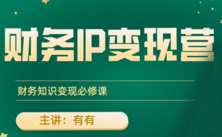 有有老师·财务IP变现营,财务知识变现必修课-续财库