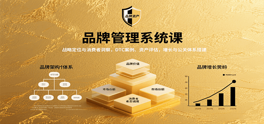 品牌管理系统课:战略定位与消费者洞察,DTC案例、资产评估,增长与公关体系搭建-续财库