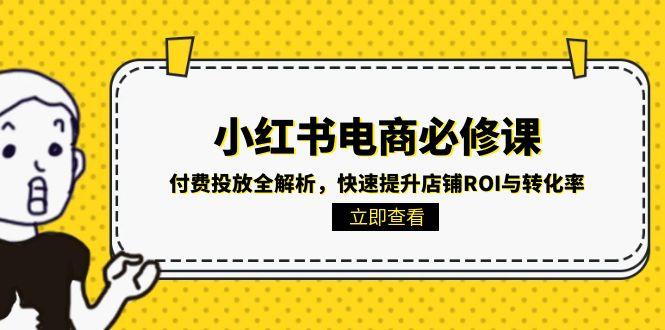 小红书电商必修课：付费投放全解析，快速提升店铺ROI与转化率-续财库