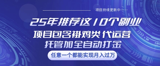 25年推荐这10个副业项目包含褂鸡类、代运营托管类、全自动打金类【揭秘】-续财库