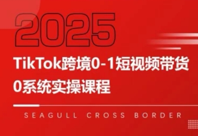 大亿老师·TikTok跨境0-1短视频带货-续财库
