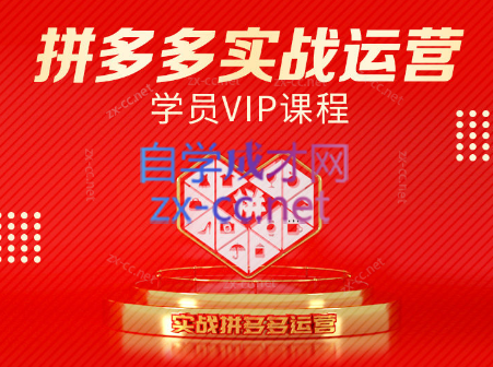 推易电商·拼多多实战运营课(更新2025月)-续财库