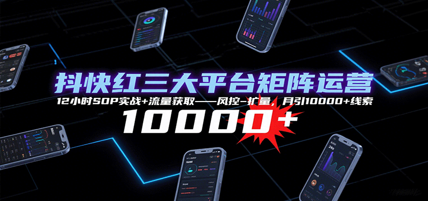 抖快红三大平台矩阵运营，12小时SOP实战+流量获取-风控-扩量，月引10000+线索-续财库