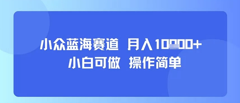 小众蓝海赛道,小白可做,操作简单,每天30分钟,月入1W+-续财库