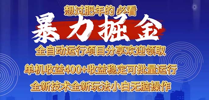 2025暴力掘金项目，想过肥年必看！-续财库